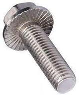 FLANGBLTS-SSSERRATED
