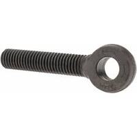 EYEBOLTS-RODEND